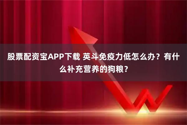 股票配资宝APP下载 英斗免疫力低怎么办？有什么补充营养的狗粮？